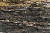 Black Tourmaline (Schorl) With Mica - Brazil #267002-2
